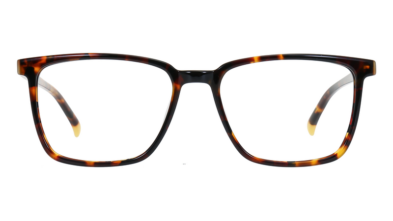 Frame Eye Glasses