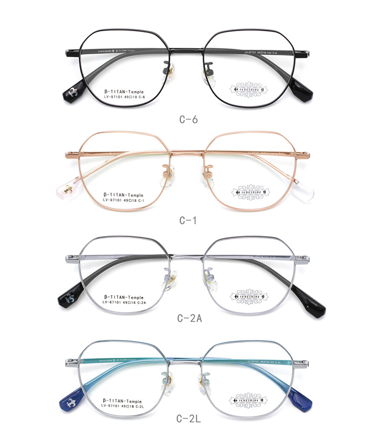 Glasses Frame B Titanium 87101-01