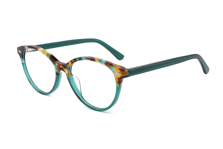 Acetate Plastic Eyeglass Frames FG1196