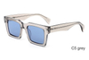 Acetate Sunglasses-YD1444T