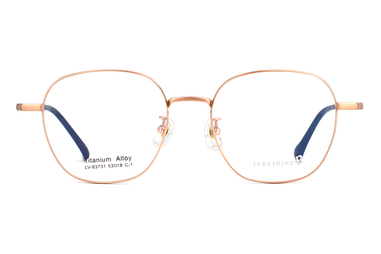 Wholesale Metal Glasses Frames 83731