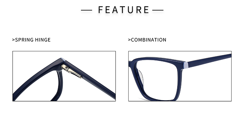 Frame Eye Glasses_feature