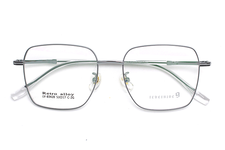 Large Spectacle Frames - Silver&Gray