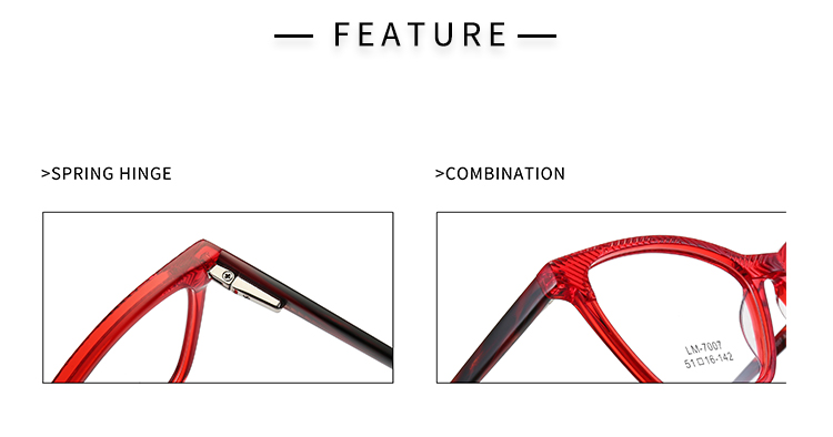 New Specs Frame - Detials