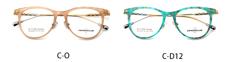 Retro Eyeglass Frames_ color 02