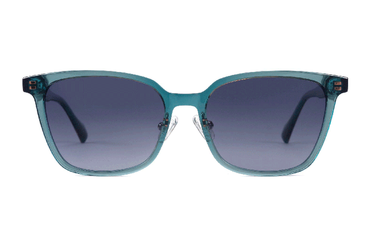Acetate Sunglasses-BAF5005PS